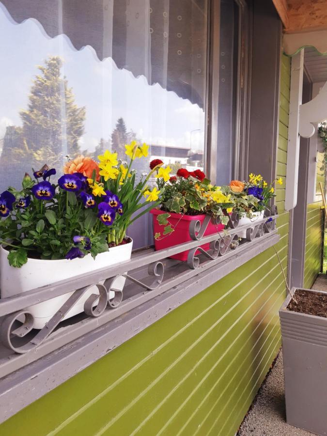 Gite Le Chalet Vert , Pret De Raquettes Frambouhans Екстер'єр фото